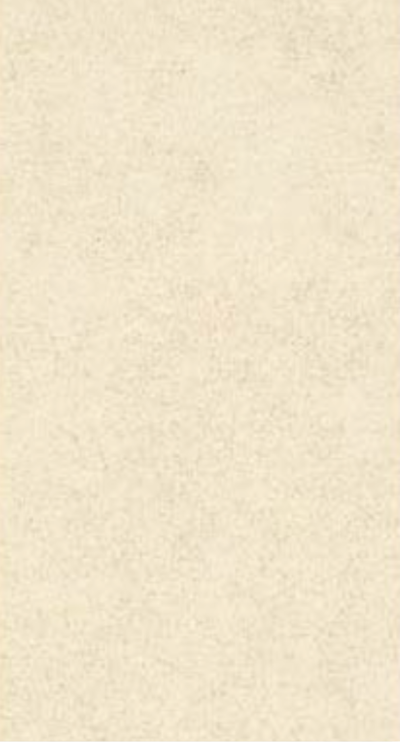 LVT Stone Flooring - " KK-LVT-201110 "