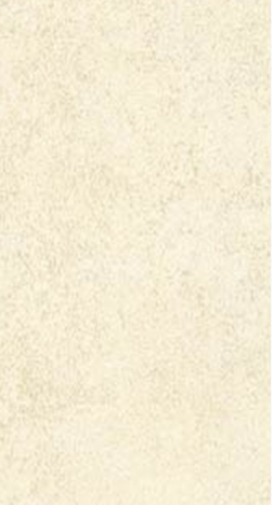 LVT Stone Flooring - " KK-LVT-201119 "