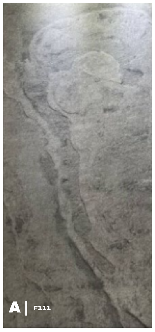 Veneered Stone  - "F111" Stone Pattern