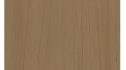 WPC Outdoor Co-Extrusion Wall Panel - "CO-W15426"